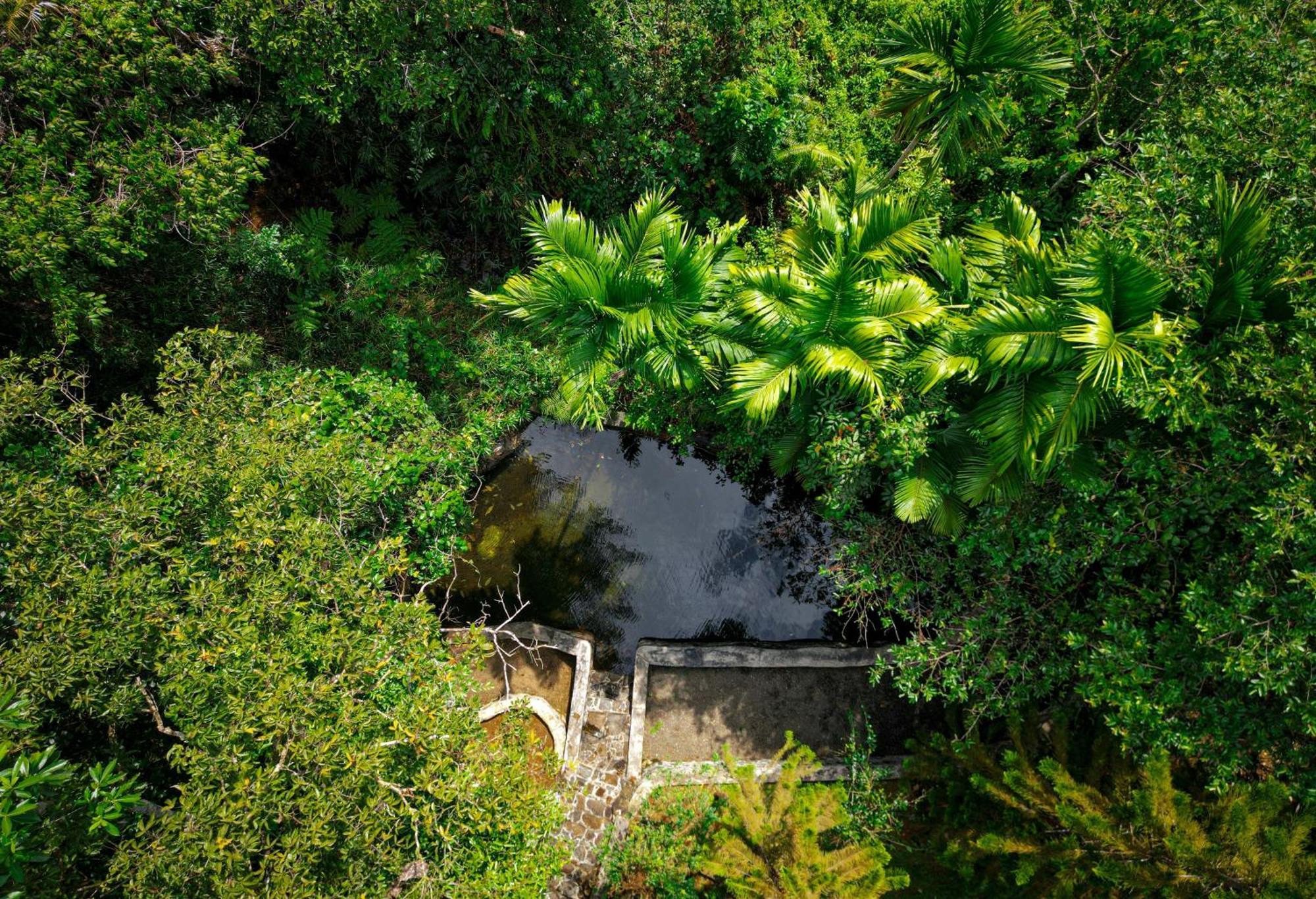 Singharaja Garden Agro Eco Lodge Pelawatta  Exterior photo