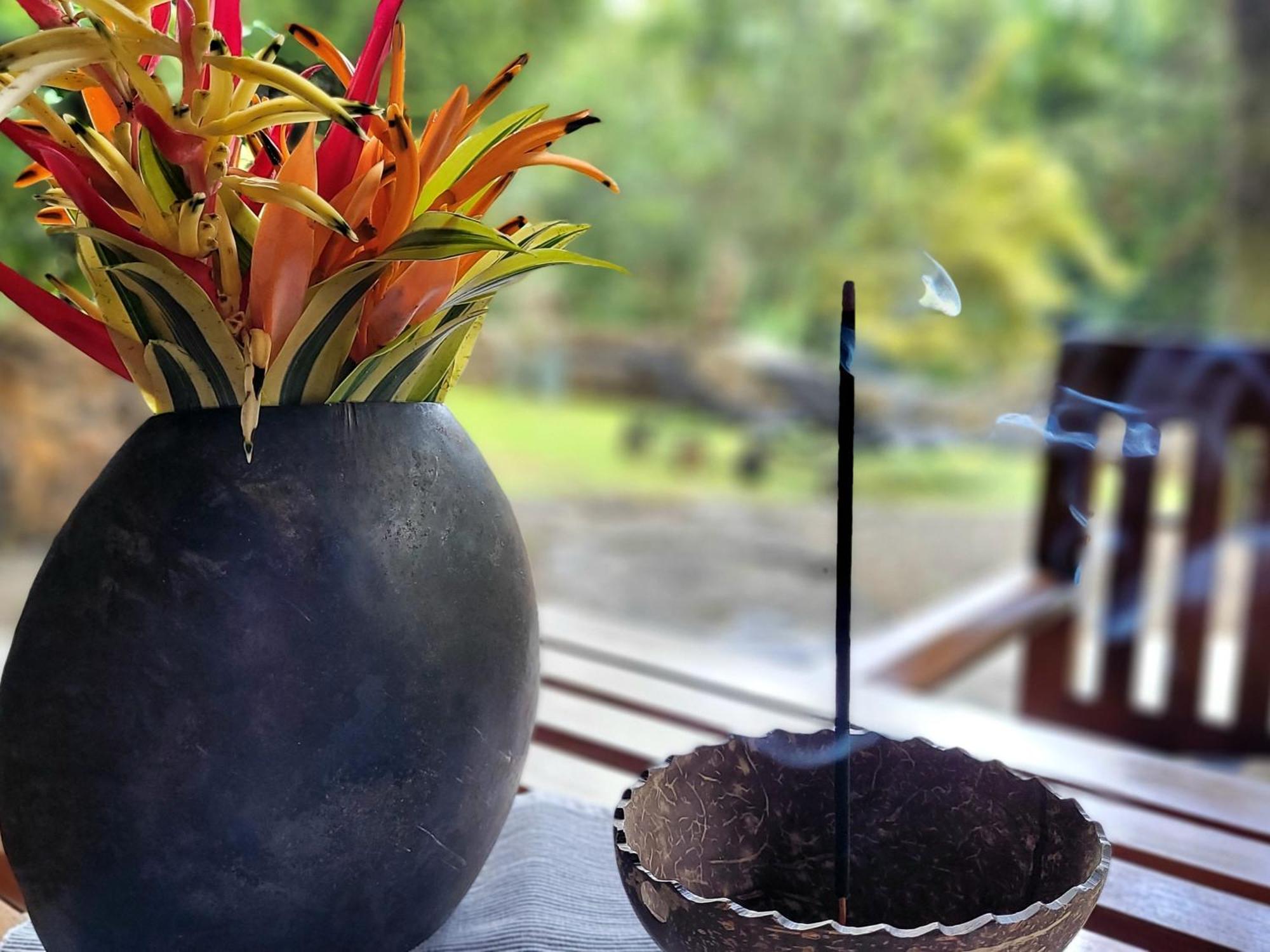 Singharaja Garden Agro Eco Lodge Pelawatta  Room photo